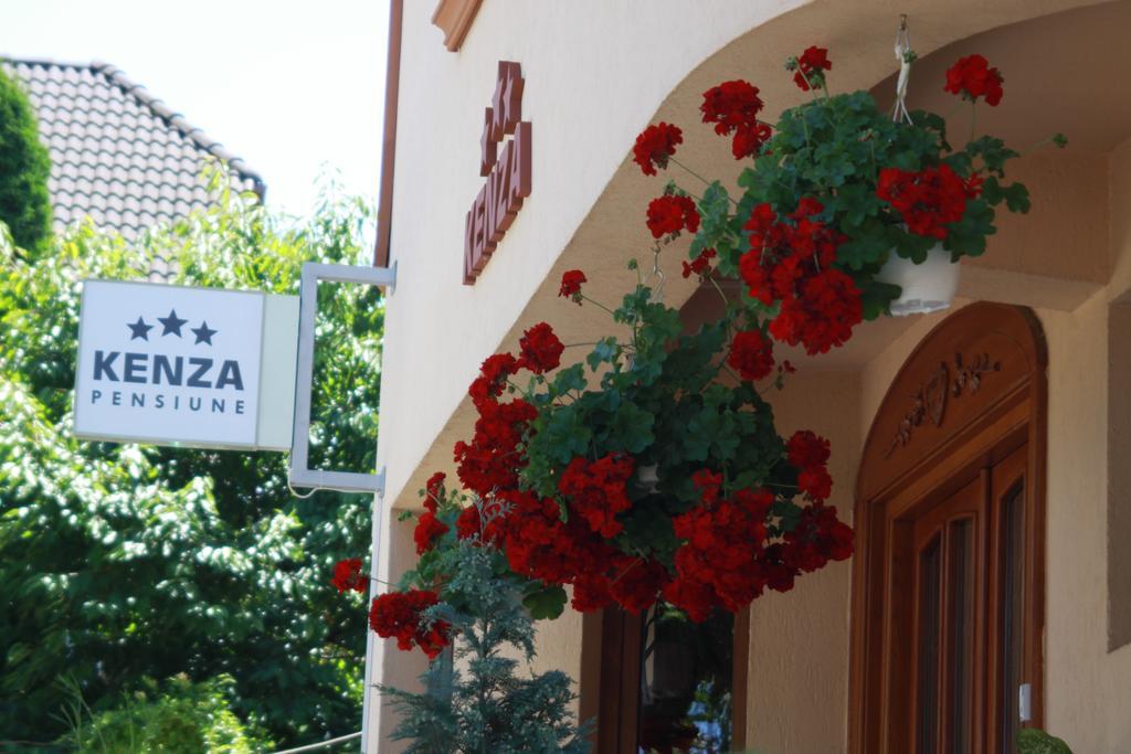 Pensiunea Kenza Târgu-Mureş Extérieur photo